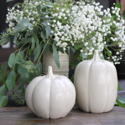 Fall Collectible Pumpkins- Set of 2 Drift White