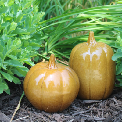 Fall Collectible Pumpkins- Set of 2 Cider