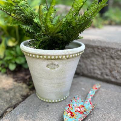 Beaded Long Tom Garden Pot #6  (4 Colors)